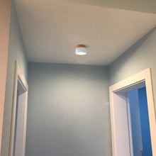 Load image into Gallery viewer, Aisilan LED ceiling Spot Light